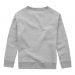 Classic sweatshirt / shameless / grey